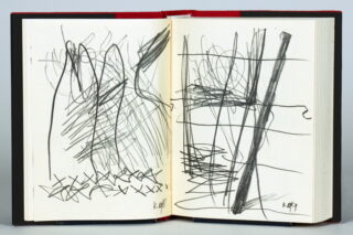 637   Martin Kippenberger. Die Welt des Kanarienvogels.