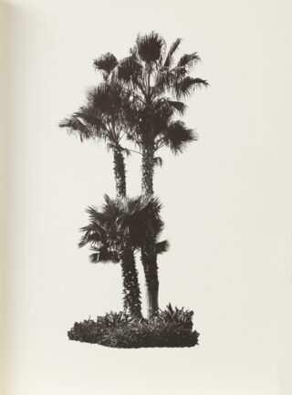 750   Ed Ruscha. A few Palm Trees. - Records. - Colored People.