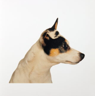 771   Rosemarie Trockel. Jedes Tier ist eine Künstlerin.