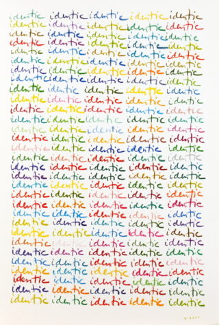 798   Herman de Vries. 16 dm² - an Essay.