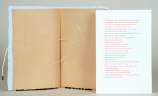 784   Richard Tuttle. Color as Language.