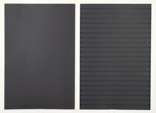 815   Rémy Zaugg. Dix-sept états dichotomiques. Siebzehn dichotomische Zustände.