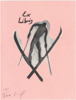 573   Peter Doig. Peter Doig presents The Wonder of Ski-ing.