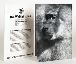 388&emsp;&emsp;Alfred Renger-Patzsch. Die Welt ist schön. 1928/1929