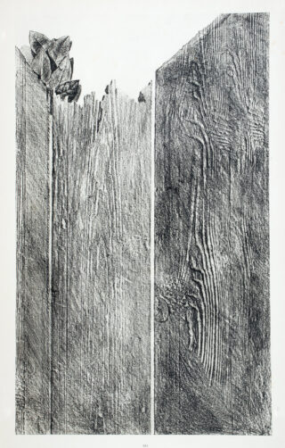 26&emsp;&emsp;Max Ernst. Histoire naturelle. 1926