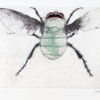 167&emsp;&emsp;Leonard Baskin. Diptera. 1983