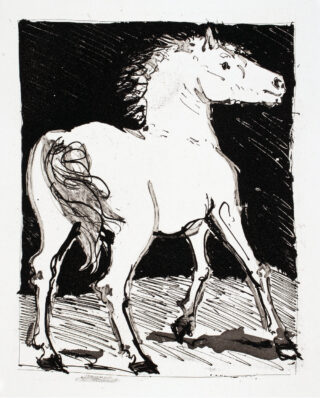 70&emsp;&emsp;Pablo Picasso – Buffon. Eaux-fortes originales pour des textes de Buffon. 1942
