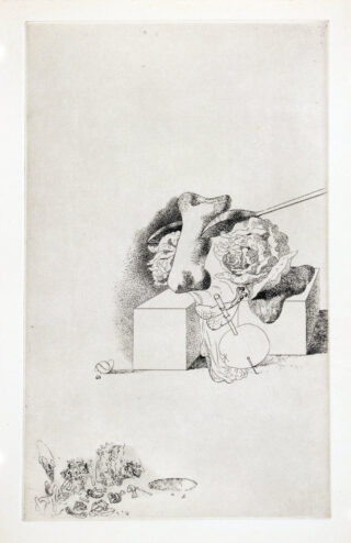 75&emsp;&emsp;Salvador Dali. Les Chants de Maldoror. 1934