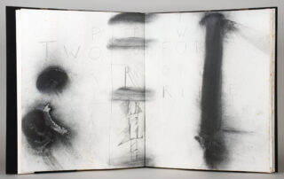 212&emsp;&emsp;Pat Steir – John Yau. I salute Night’s Eyes. 1994