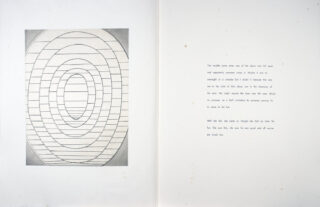 200&emsp;&emsp;Louise Bourgeois. The Puritan. 1990
