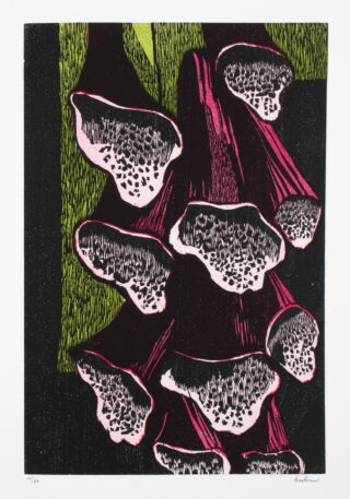 398&emsp;&emsp;Leonard Baskin – Anthony Hecht. The Gehenna Florilegium. 1998