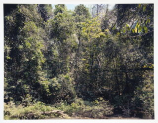21&emsp;&emsp;Thomas Struth. Paradies.