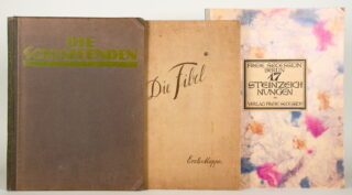 41&emsp;&emsp;Die Schaffenden. – Die Fibel. – Freie Sezession Berlin. 17 Steinzeichnungen. 1919-1921