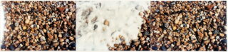 59&emsp;&emsp;Herman de  Vries. chance & change processes & situations, morocco 1973. 1982